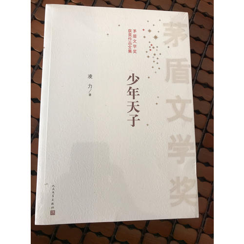 茅盾文學獎獲獎作品全集：少年天子