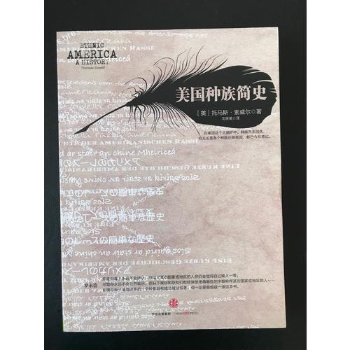 美國種族簡史