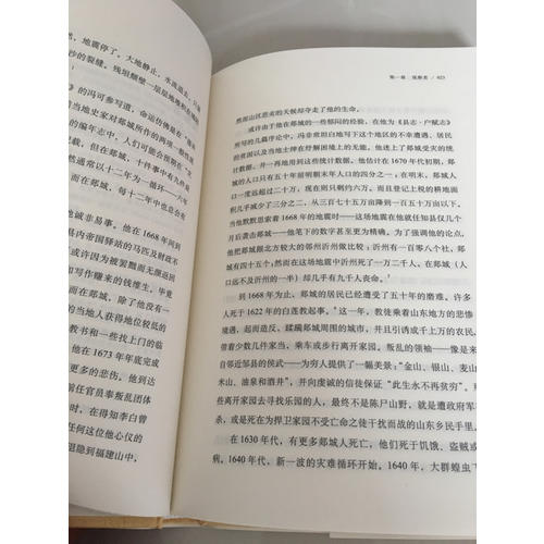 王氏之死：大歷史背后的小人物命運（史景遷作品）（精裝）