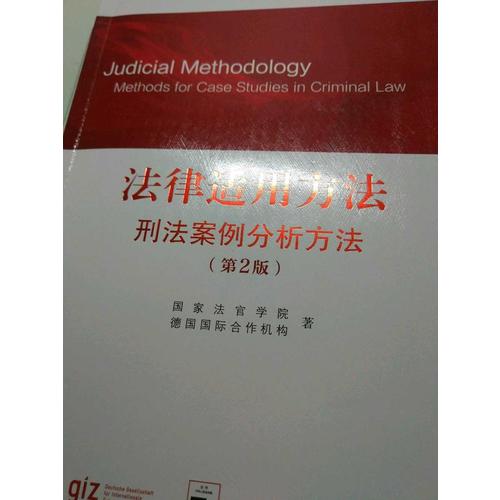 法律適用方法：刑法案例分析方法（第2版）