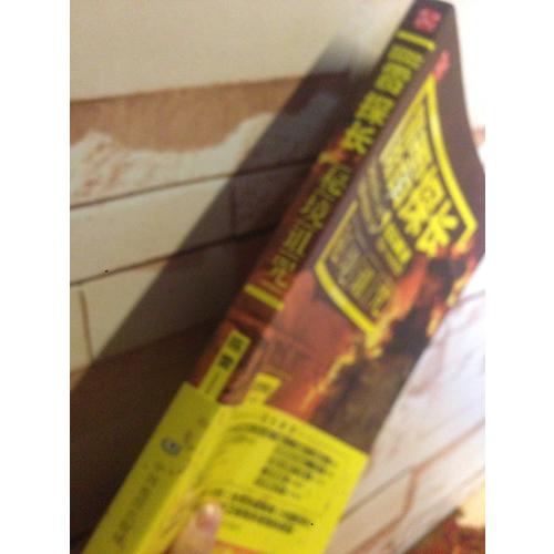 冒險雷探長：秘境詛咒