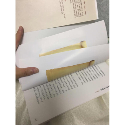 耶穌傳