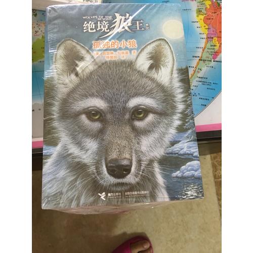 絕境狼王系列（全6冊）