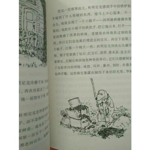 帥狗杜明尼克
