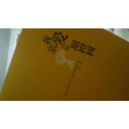 我親愛的甜橙樹（近期版）