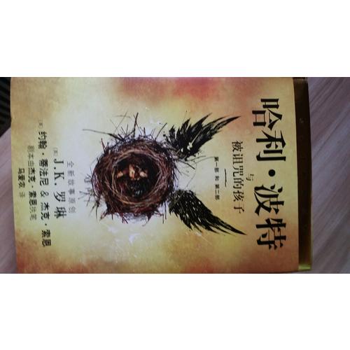 哈利·波特與被詛咒的孩子（哈利波特8）