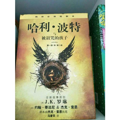 哈利·波特與被詛咒的孩子（哈利波特8）