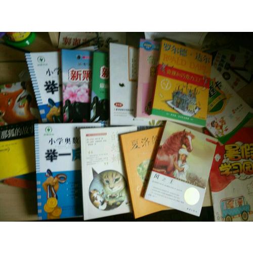 風之王（國際大獎小說成長版）