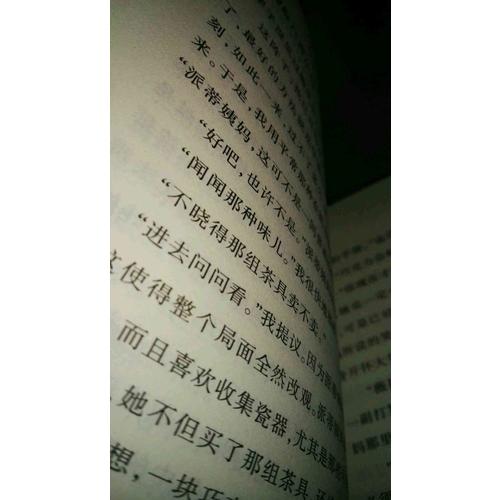 屋頂上的小孩（國際大獎小說成長版）