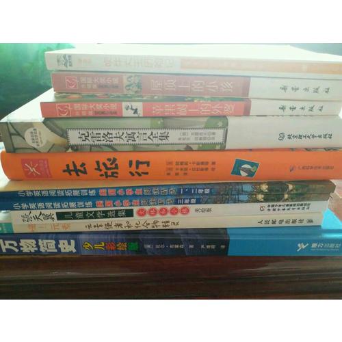 屋頂上的小孩（國際大獎小說成長版）