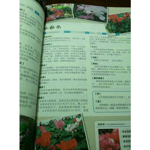 家庭養(yǎng)花一本通