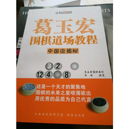 葛玉宏圍棋道場教程·中國流揭秘