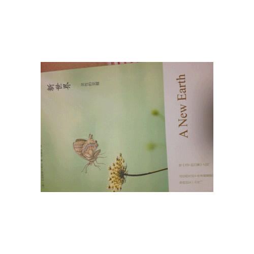 新世界:靈性的覺醒