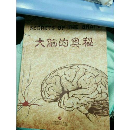 大腦的奧秘