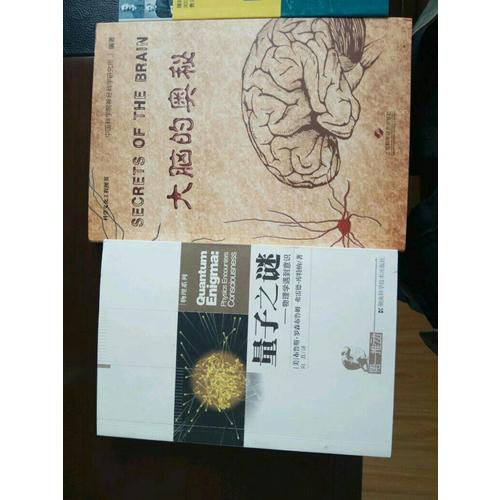 大腦的奧秘
