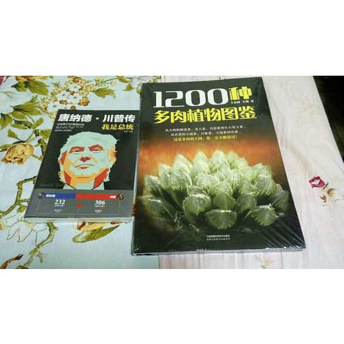 唐納德·川普傳