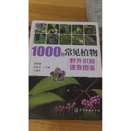 1000種常見植物野外識別速查圖鑒