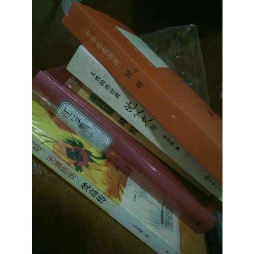 我心向陽，無謂悲傷：梵高傳