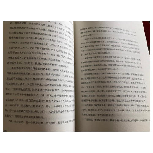 我心向陽，無謂悲傷：梵高傳