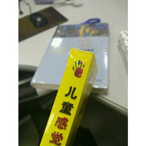 兒童感覺統合訓練