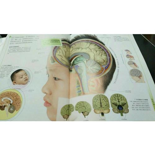 帶孩子及時次認身體（漢竹）