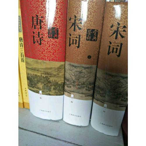 宋詞鑒賞辭典（新一版）