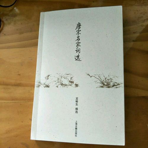唐宋名家詞選