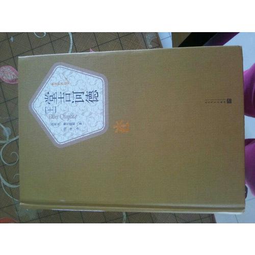 堂吉訶德（上下）