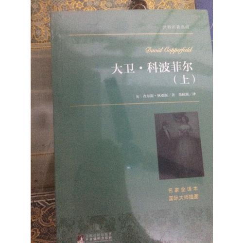 大衛(wèi)·科波菲爾（上下）