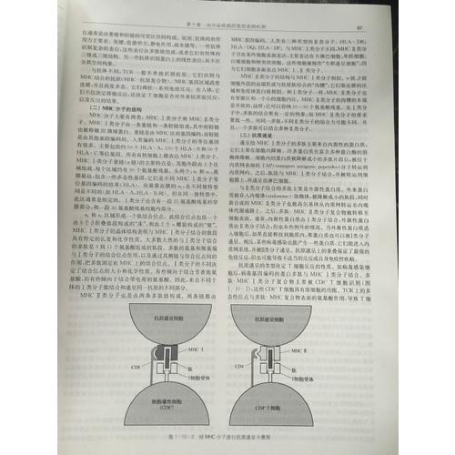 臨床內分泌學