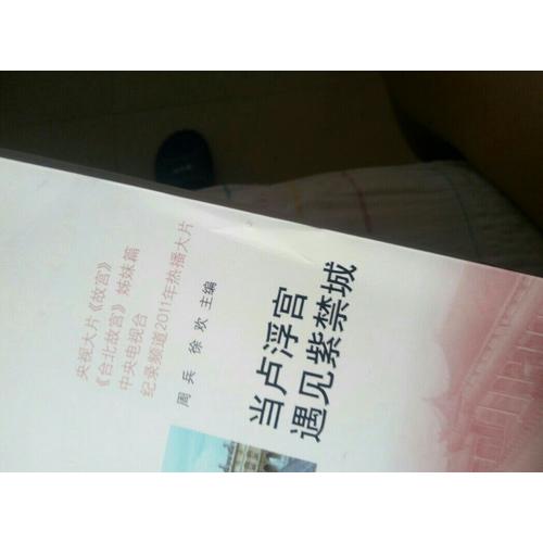 當盧浮宮遇見紫禁城