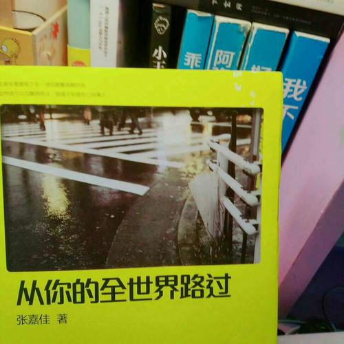 從你的全世界路過