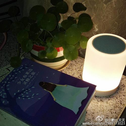 少女布萊達靈修之旅