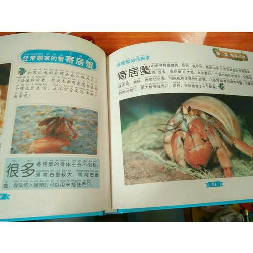童書坊：海洋探索