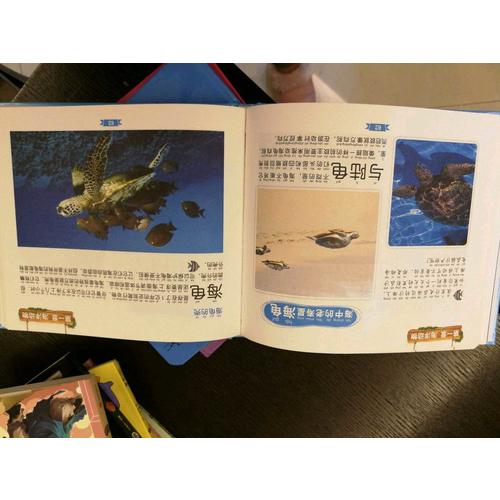 童書坊：海洋探索