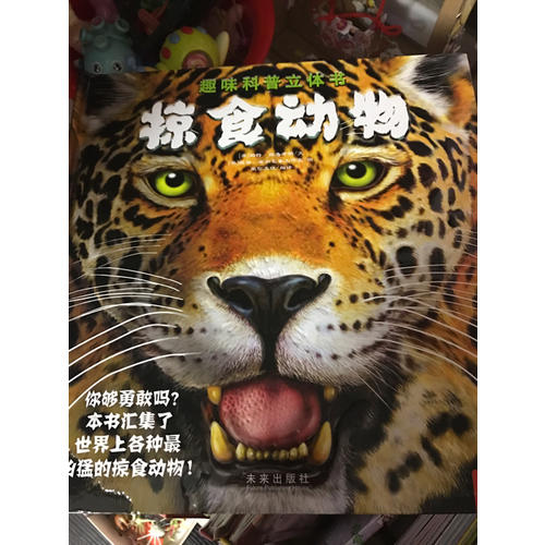 掠食動物