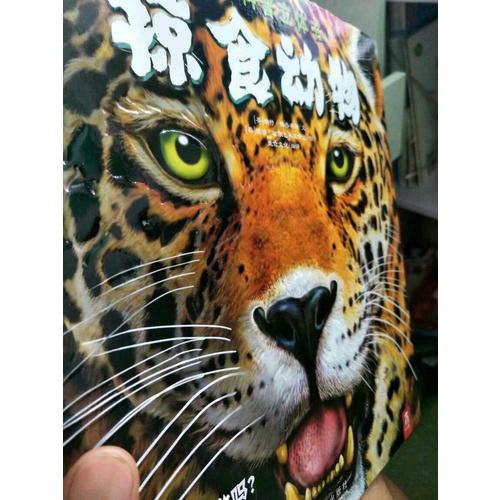 掠食動物