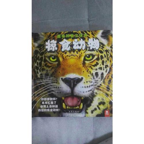 掠食動物