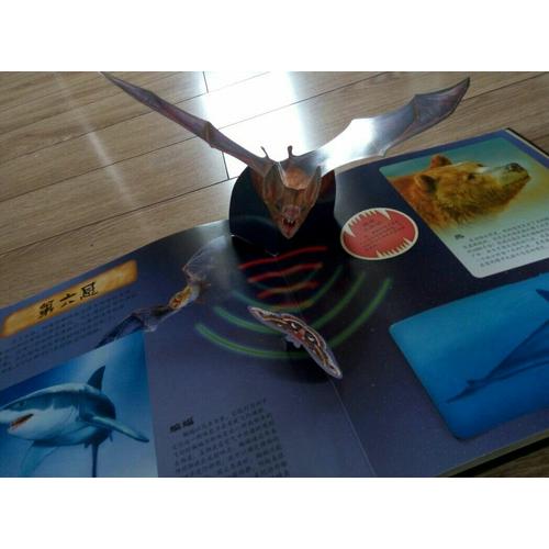 掠食動物