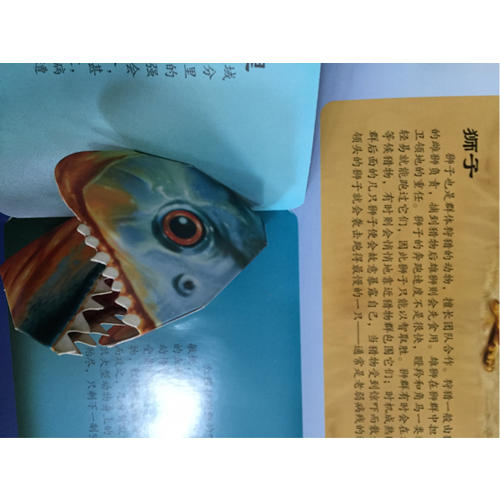 掠食動物