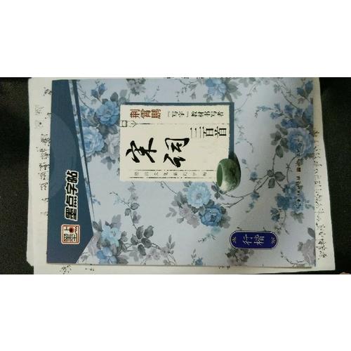 墨點字帖 經典文化系列字帖 宋詞三百首行楷 鋼筆字帖