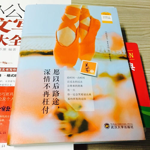 愿以后路途，深情不再枉付