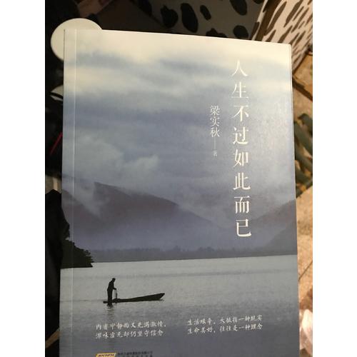 人生不過如此而已