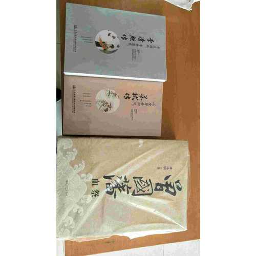 心安即是歸處：蘇軾傳
