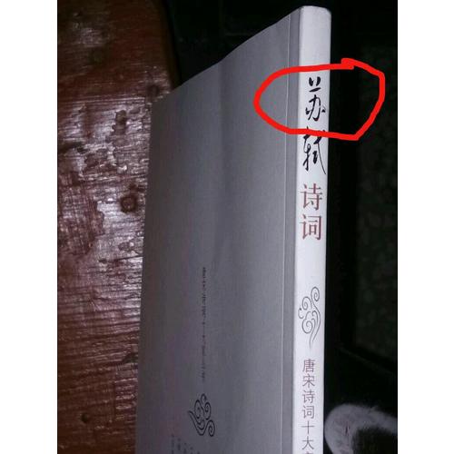一蓑煙雨任平生·蘇軾傳