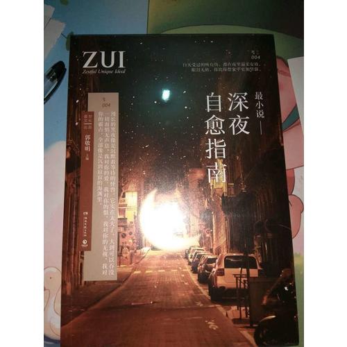 最小說·深夜自愈指南