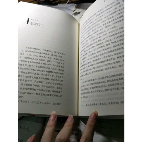 蘇東坡傳