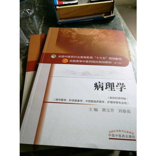人體解剖學(xué)