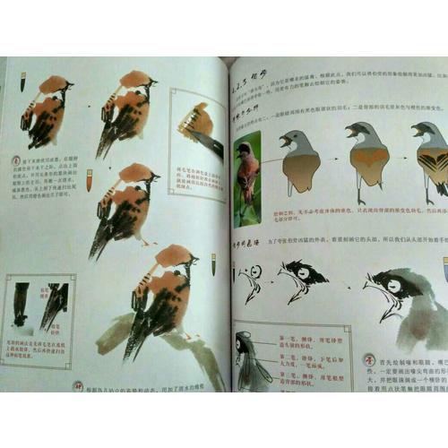 國畫技法從入門到精通 花鳥魚蟲