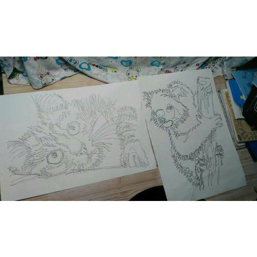 1000個點畫出可愛動物